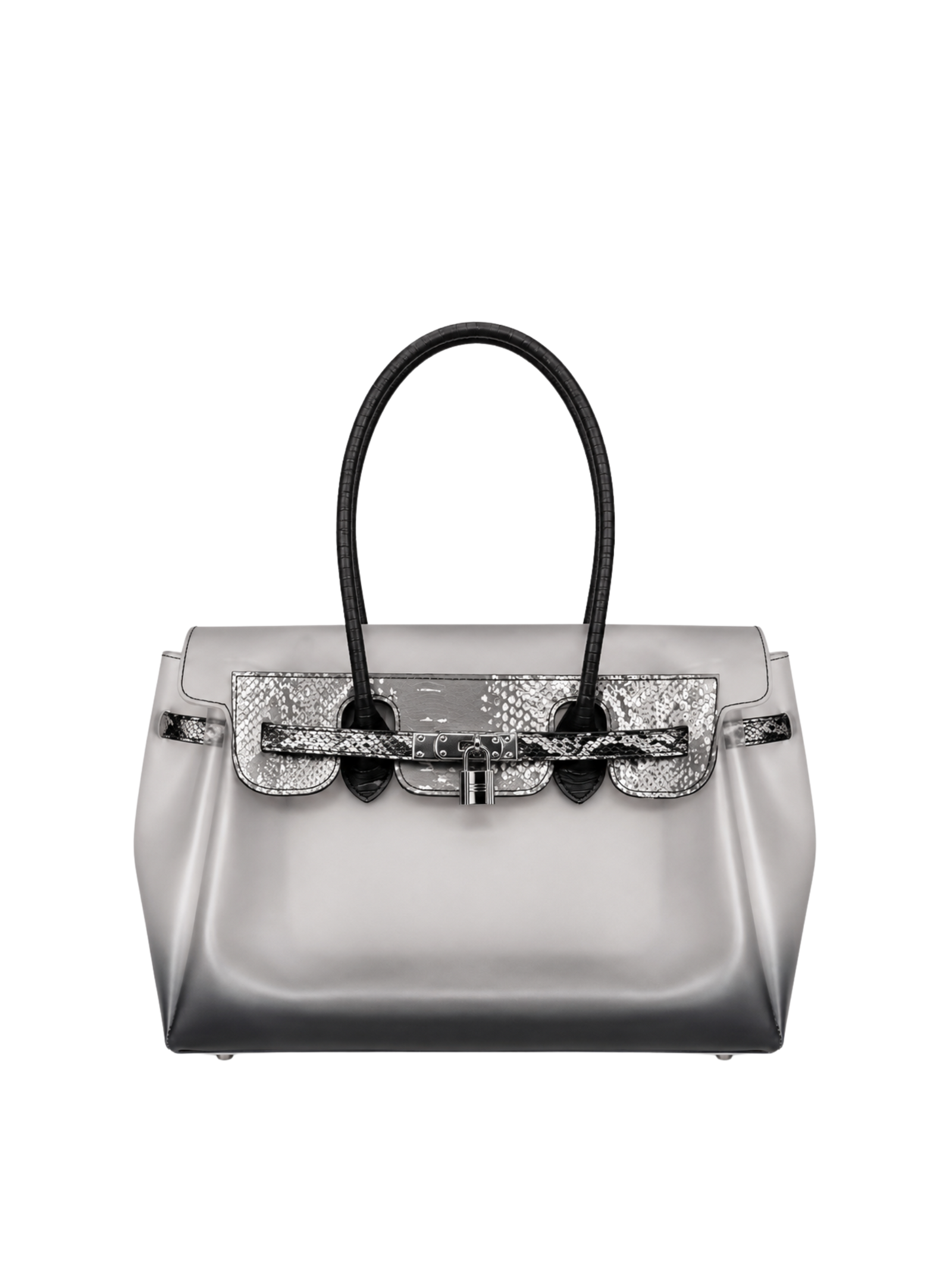 Jelly 35 Gradient Snakeskin Two Piece Bag Set