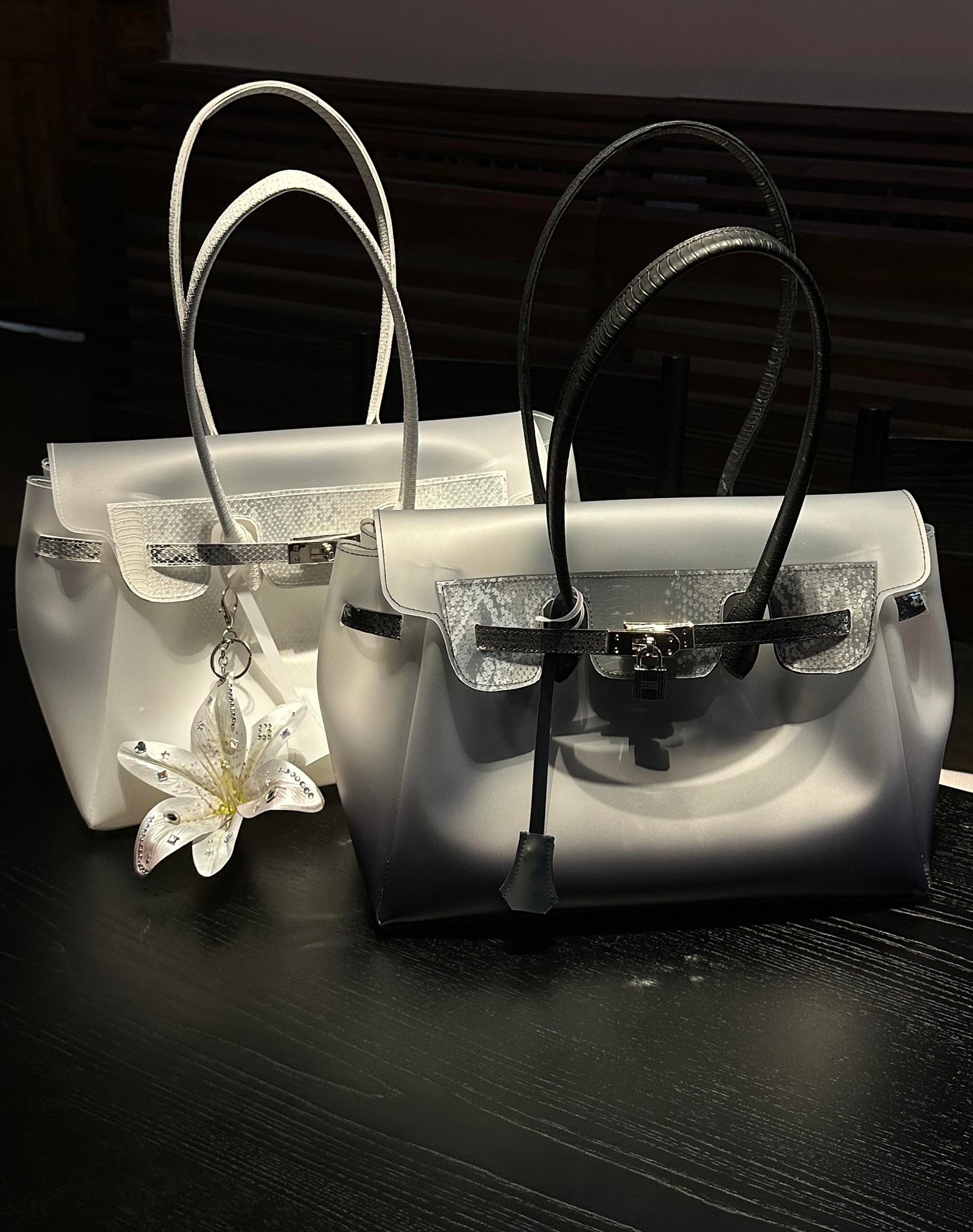 Jelly 35 Gradient Snakeskin Two Piece Bag Set