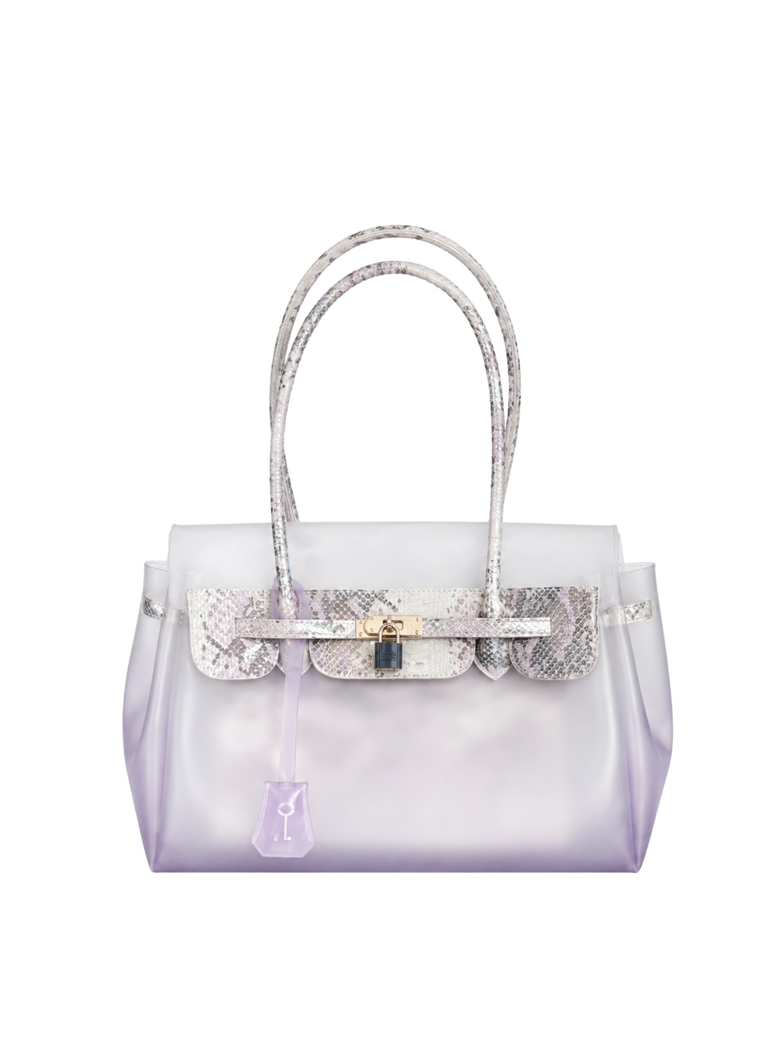 Jelly 35 Gradient Snakeskin Two Piece Bag Set