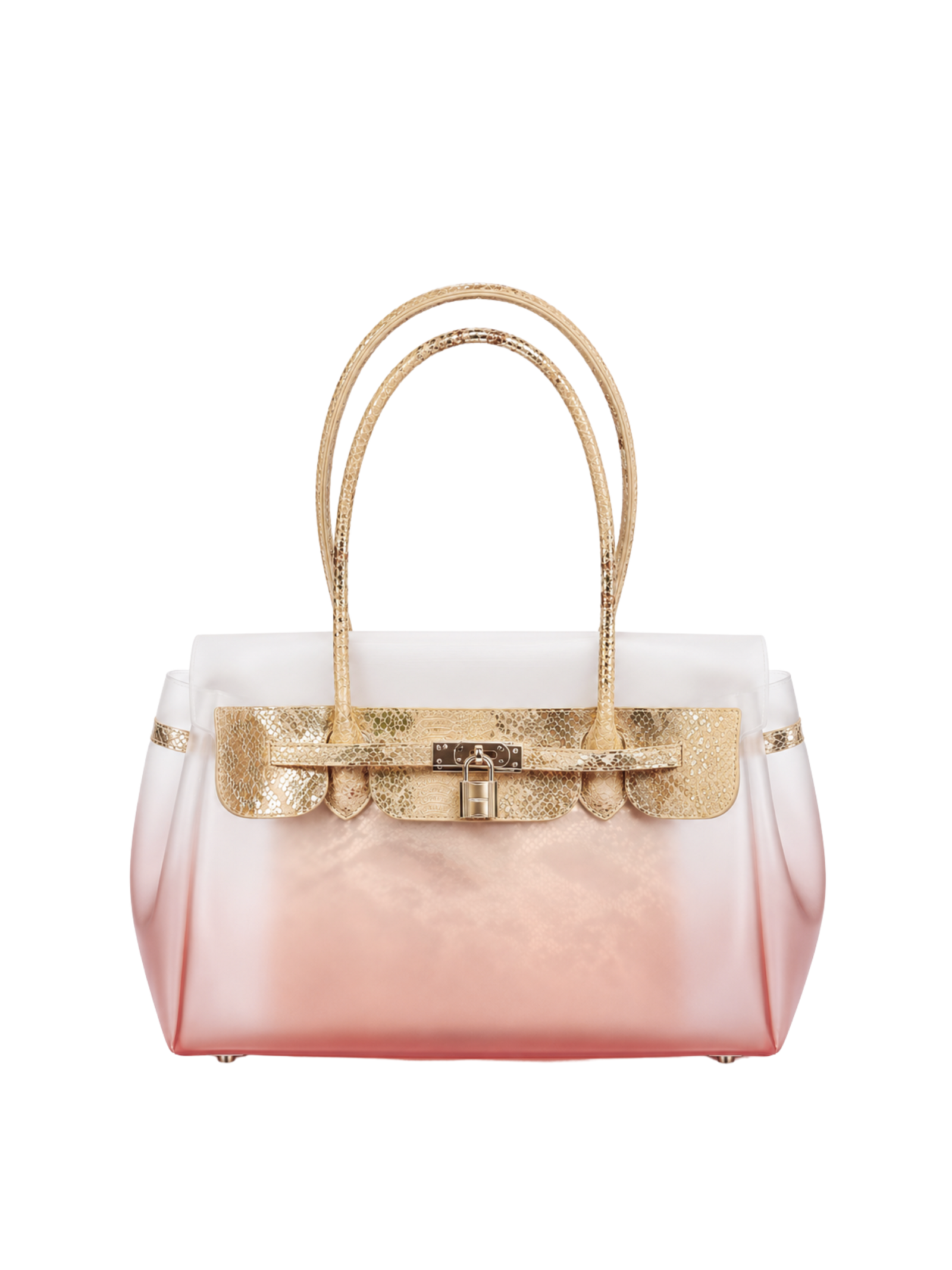 Jelly 35 Gradient Snakeskin Two Piece Bag Set
