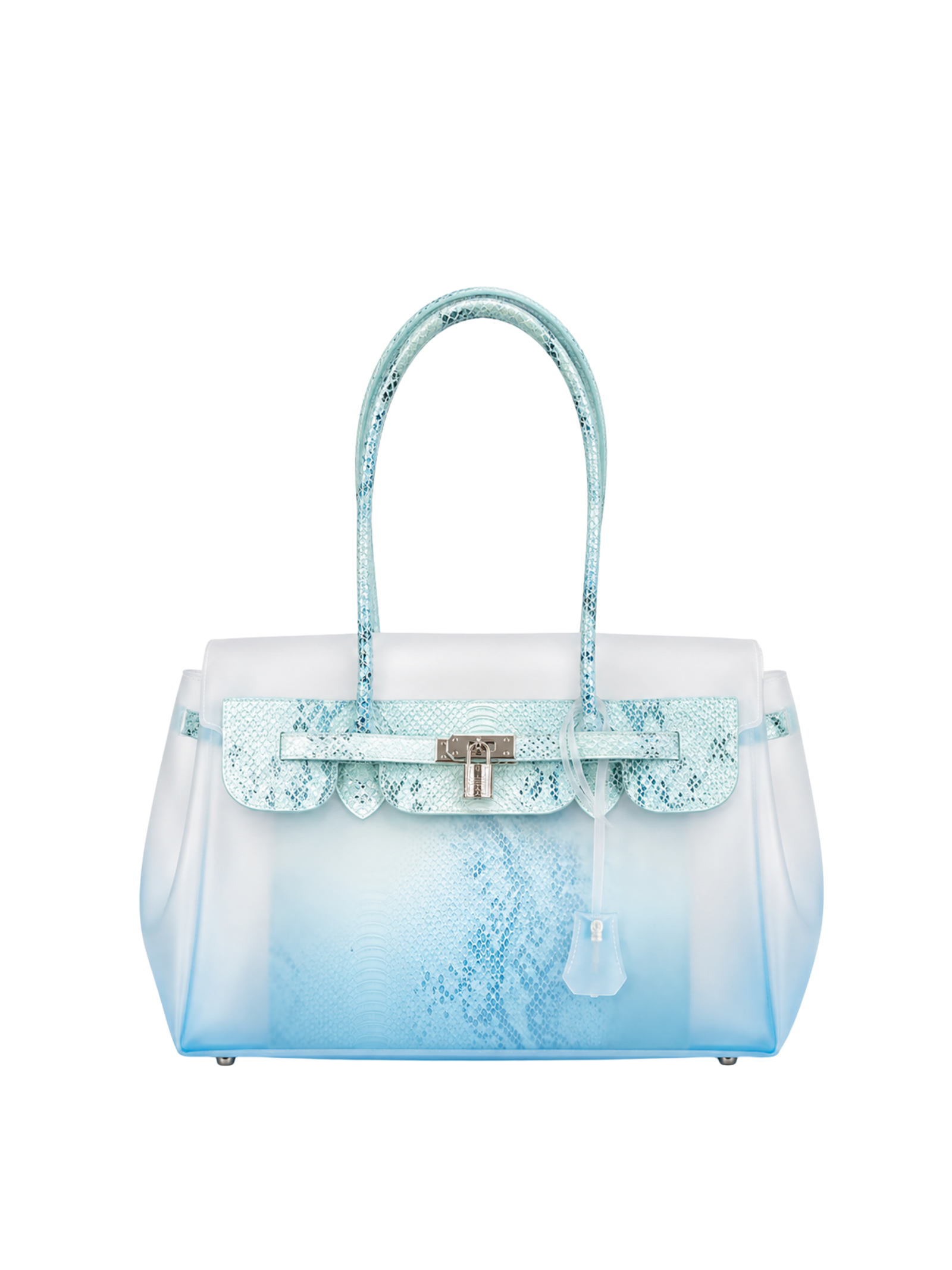 Jelly 35 Gradient Snakeskin Two Piece Bag Set