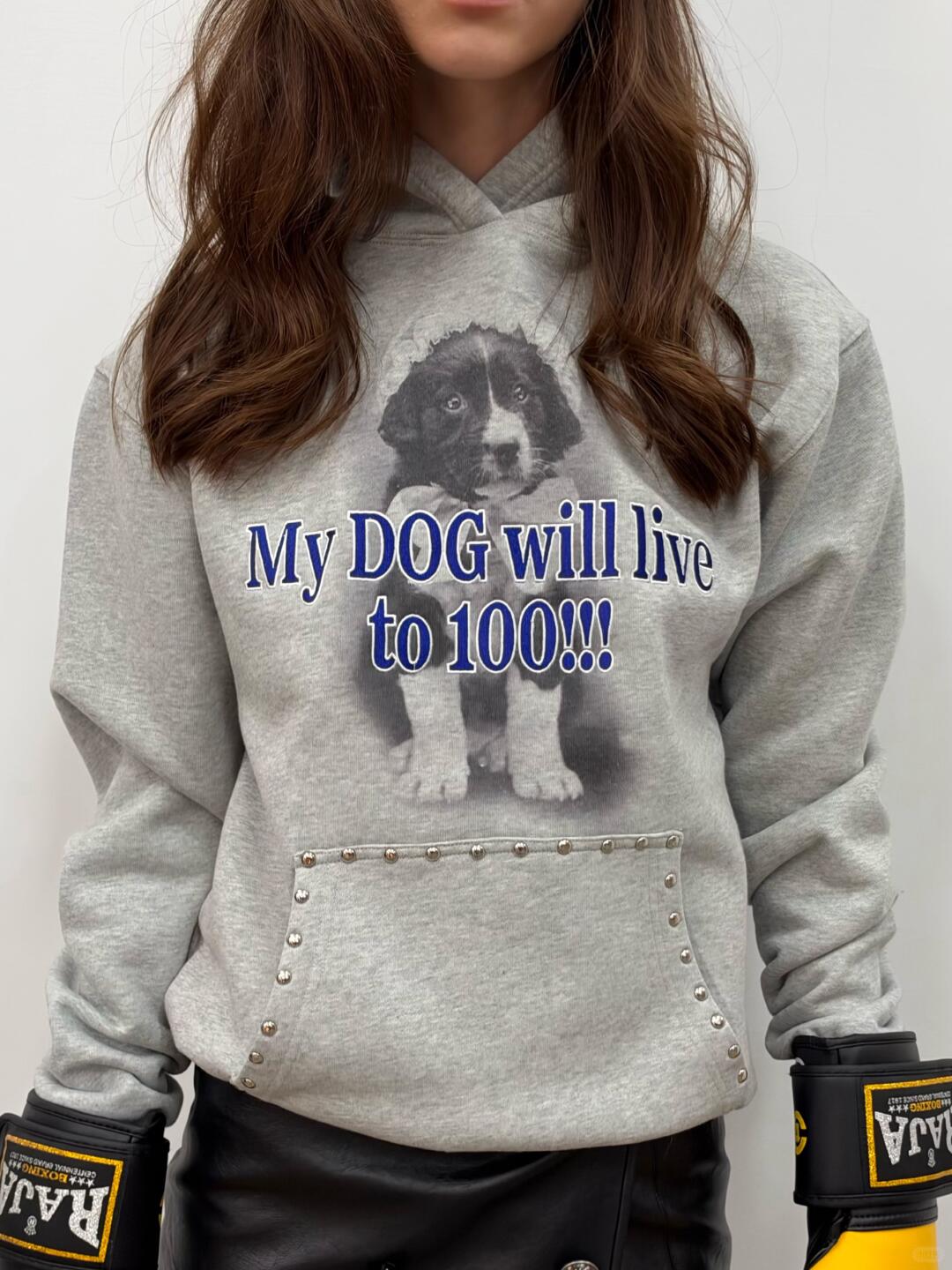 My Dog Will Live to 100! Hoodie